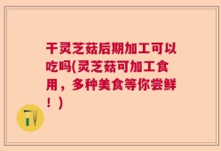 干灵芝菇后期加工可以吃吗(灵芝菇可加工食用，多种美食等你尝鲜！)