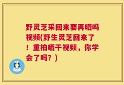 野灵芝采回来要再晒吗视频(野生灵芝回来了！重拍晒干视频，你学会了吗？)
