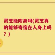 灵芝能附身吗(灵芝真的能够寄宿在人身上吗？)