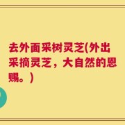 去外面采树灵芝(外出采摘灵芝，大自然的恩赐。)