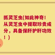 抓灵芝虫(如此神奇！从灵芝虫中提取珍贵成分，具备保肝护肝功效！)