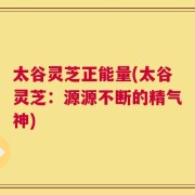 太谷灵芝正能量(太谷灵芝：源源不断的精气神)