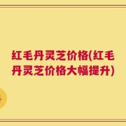 红毛丹灵芝价格(红毛丹灵芝价格大幅提升)