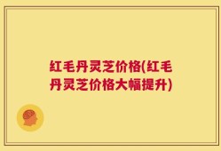红毛丹灵芝价格(红毛丹灵芝价格大幅提升)