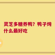 灵芝多糖养鸭？鸭子炖什么最好吃