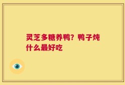 灵芝多糖养鸭？鸭子炖什么最好吃