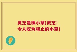 灵芝是棵小草(灵芝：令人叹为观止的小草)