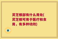灵芝根部有什么用处(灵芝根可用于医疗和食用，有多种功效)