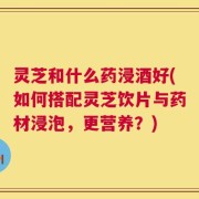 灵芝和什么药浸酒好(如何搭配灵芝饮片与药材浸泡，更营养？)