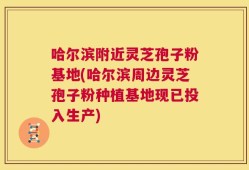 哈尔滨附近灵芝孢子粉基地(哈尔滨周边灵芝孢子粉种植基地现已投入生产)