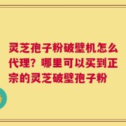灵芝孢子粉破壁机怎么代理？哪里可以买到正宗的灵芝破壁孢子粉