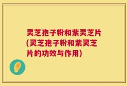 灵芝孢子粉和紫灵芝片(灵芝孢子粉和紫灵芝片的功效与作用)