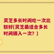 灵芝多长时间吃一次比较好(灵芝最适合多长时间摄入一次？)