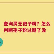 查询灵芝孢子粉？怎么判断孢子粉过期了没