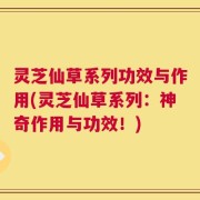 灵芝仙草系列功效与作用(灵芝仙草系列：神奇作用与功效！)