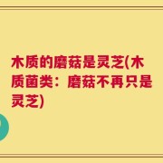木质的磨菇是灵芝(木质菌类：磨菇不再只是灵芝)