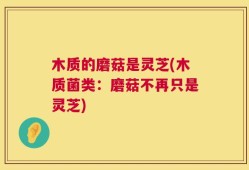 木质的磨菇是灵芝(木质菌类：磨菇不再只是灵芝)