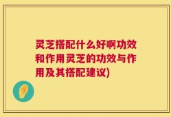 灵芝搭配什么好啊功效和作用灵芝的功效与作用及其搭配建议)