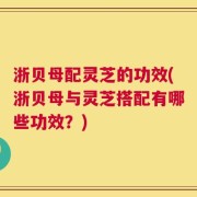 浙贝母配灵芝的功效(浙贝母与灵芝搭配有哪些功效？)