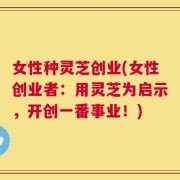 女性种灵芝创业(女性创业者：用灵芝为启示，开创一番事业！)