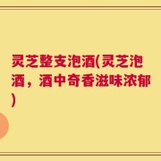 灵芝整支泡酒(灵芝泡酒，酒中奇香滋味浓郁)