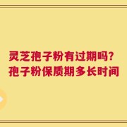 灵芝孢子粉有过期吗？孢子粉保质期多长时间
