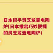 日本把手灵芝龙壶电陶炉(日本推出巧妙便捷的灵芝龙壶电陶炉)