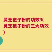 灵芝孢子粉的功效3(灵芝孢子粉的三大功效)