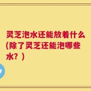 灵芝泡水还能放着什么(除了灵芝还能泡哪些水？)