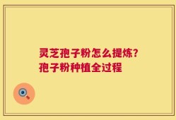 灵芝孢子粉怎么提炼？孢子粉种植全过程