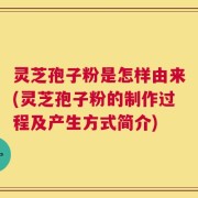 灵芝孢子粉是怎样由来(灵芝孢子粉的制作过程及产生方式简介)
