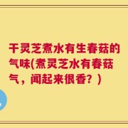 干灵芝煮水有生春菇的气味(煮灵芝水有春菇气，闻起来很香？)