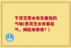 干灵芝煮水有生春菇的气味(煮灵芝水有春菇气，闻起来很香？)