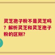 灵芝孢子粉不是灵芝吗？解析灵芝和灵芝孢子粉的区别？