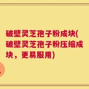 破壁灵芝孢子粉成块(破壁灵芝孢子粉压缩成块，更易服用)