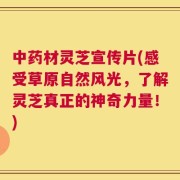 中药材灵芝宣传片(感受草原自然风光，了解灵芝真正的神奇力量！)