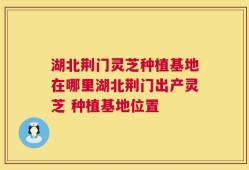 湖北荆门灵芝种植基地在哪里湖北荆门出产灵芝 种植基地位置