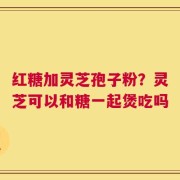 红糖加灵芝孢子粉？灵芝可以和糖一起煲吃吗