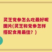 灵芝党参怎么吃最好呢图片(灵芝和党参怎样搭配食用最佳？)