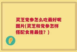 灵芝党参怎么吃最好呢图片(灵芝和党参怎样搭配食用最佳？)