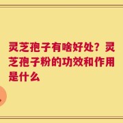 灵芝孢子有啥好处？灵芝孢子粉的功效和作用是什么