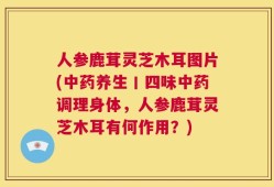 人参鹿茸灵芝木耳图片(中药养生丨四味中药调理身体，人参鹿茸灵芝木耳有何作用？)