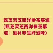 甄芝灵芝西洋参茶慕道(甄芝灵芝西洋参茶慕道：滋补养生好滋味)