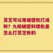 灵芝可以用破壁机打成粉？九阳破壁料理机是怎么打灵芝粉的