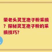 荣老头灵芝孢子粉采摘？探秘灵芝孢子粉的采摘技巧？