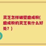 灵芝怎样破壁磨成粉(磨成粉的灵芝有什么好处？)