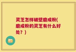 灵芝怎样破壁磨成粉(磨成粉的灵芝有什么好处？)