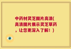 中药材灵芝图片高清(高清图片展示灵芝草药，让您更深入了解！)