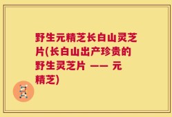 野生元精芝长白山灵芝片(长白山出产珍贵的野生灵芝片 —— 元精芝)