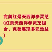 完美红景天西洋参灵芝(红景天西洋参灵芝组合，完美展现多元效益)